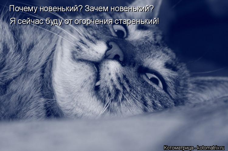 Котоматрица: Почему новенький? Зачем новенький? Я сейчас буду от огорчения старенький!