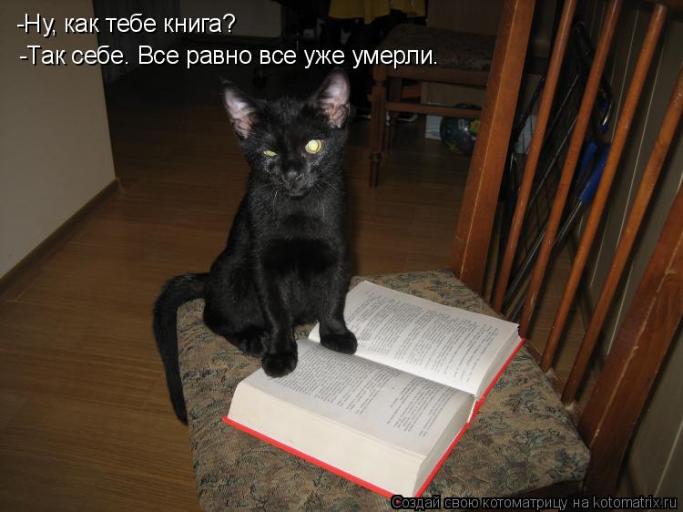 Котоматрица: -Ну, как тебе книга? -Так себе. Все равно все уже умерли.