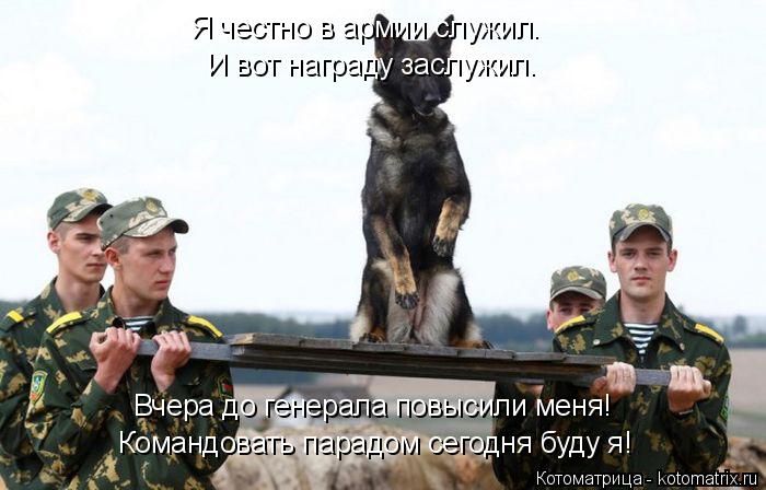 Котоматрица: Командовать парадом сегодня буду я! Вчера до генерала повысили меня! Я честно в армии служил. И вот награду заслужил.