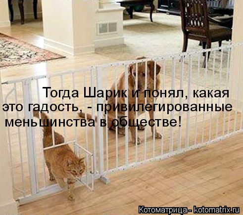 Котоматрица: Тогда Шарик и понял, какая  это гадость, - привилегированные  меньшинства в обществе!