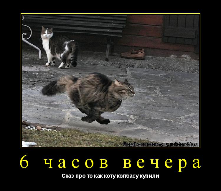 Котоматрица: 6 часов вечера Сказ про то как коту колбасу купили