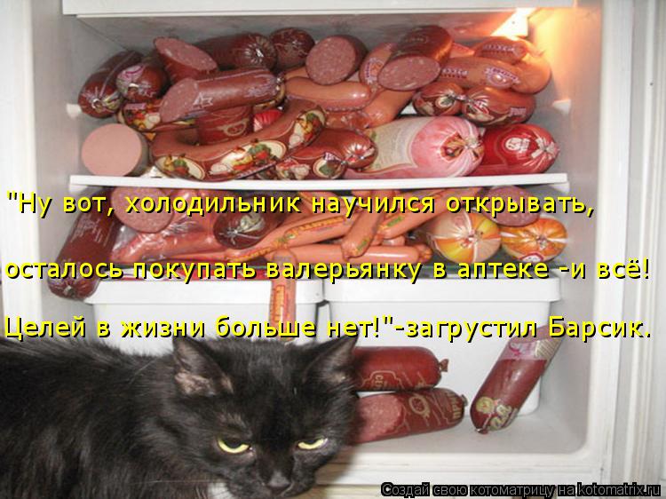 Котоматрица: Целей в жизни больше нет!"-загрустил Барсик. осталось покупать валерьянку в аптеке -и всё!  "Ну вот, холодильник научился открывать,