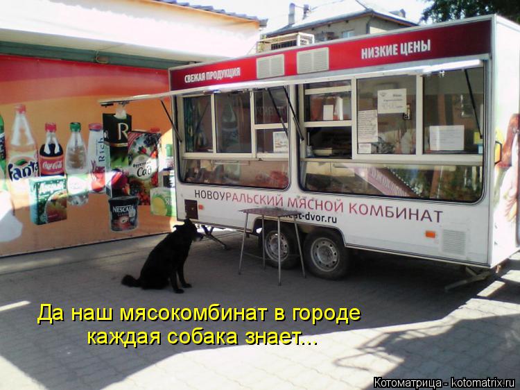 Да наш мясокомбинат в городе каждая собака знает...... Котоматрица: Да наш мясокомбинат в городе каждая собака знает...