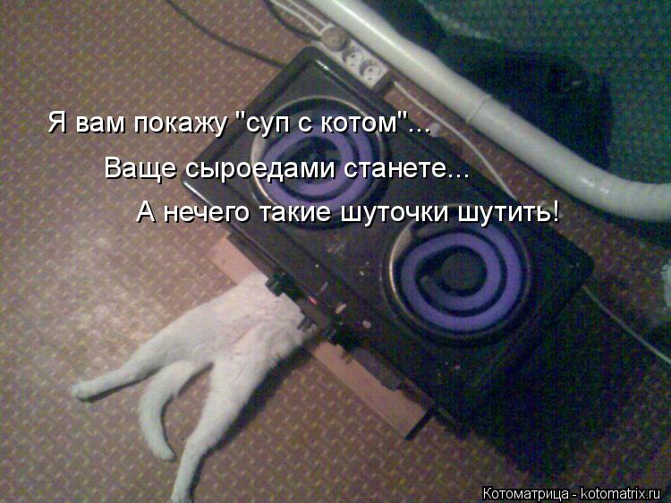 Котоматрица: Я вам покажу "суп с котом"... А нечего такие шуточки шутить! Ваще сыроедами станете...