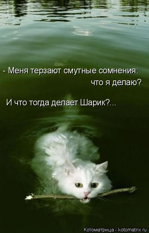 Котоматрица: - Меня терзают смутные сомнения: что я делаю? И что тогда делает Шарик?...