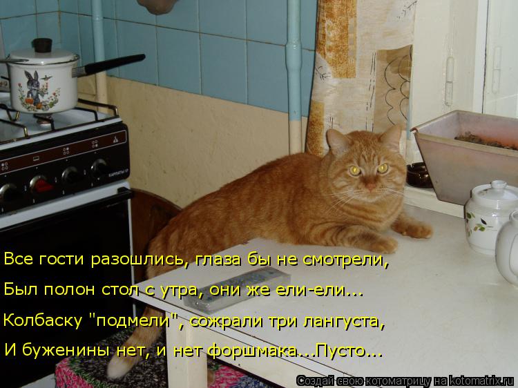 Котоматрица: Все гости разошлись, глаза бы не смотрели, Колбаску "подмели", сожрали три лангуста, Был полон стол с утра, они же ели-ели... И буженины нет, и н