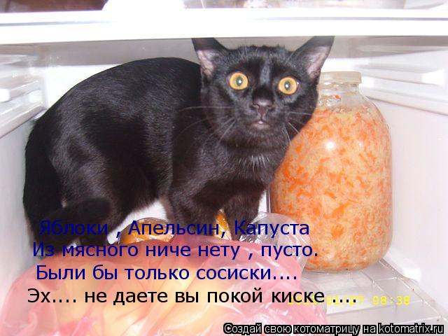 Котоматрица: Яблоки , Апельсин, Капуста Из мясного ниче нету , пусто. Были бы только сосиски.... Эх.... не даете вы покой киске ....