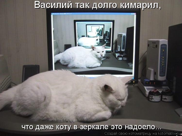Котоматрица: что даже коту в зеркале это надоело... Василий так долго кимарил,