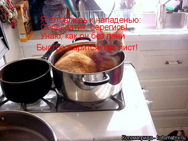 Котоматрица: Я готовлюсь к нападенью: Сервелатик, берегись! Унаю, как он без лени Быстро жарится, как лист!