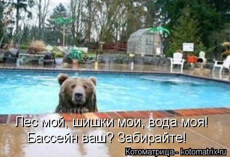 Котоматрица: Лес мой, шишки мои, вода моя! Бассейн ваш? Забирайте!