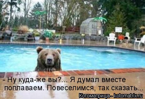 Котоматрица: - Ну куда-же вы?... Я думал вместе поплаваем. Повеселимся, так сказать...