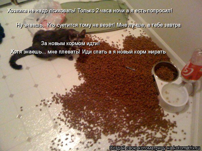 Котоматрица: Хозяика не надо психовать! Только 2 часа ночи а я есть попросил! Ну знаешь,  Кто суетится тому не везёт! Мне лучше, а тебе завтра  За новым корм