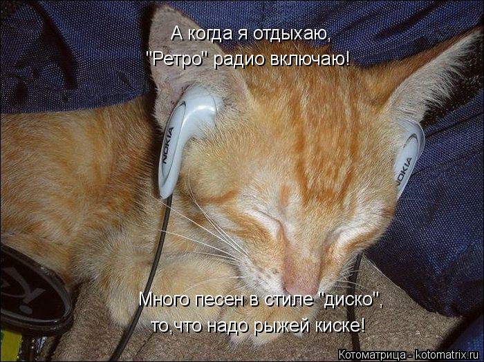 Котоматрица: "Ретро" радио включаю! А когда я отдыхаю, Много песен в стиле "диско", то,что надо рыжей киске!
