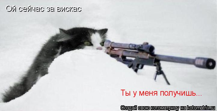 Котоматрица: Ой сейчас за вискас Ты у меня получишь...