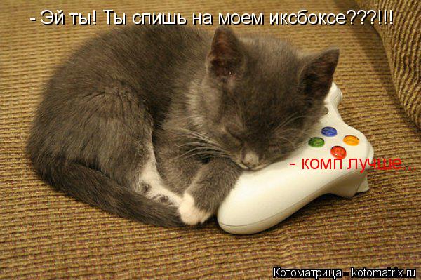 Котоматрица: - Эй ты! Ты спишь на моем иксбоксе???!!! - комп лучше...