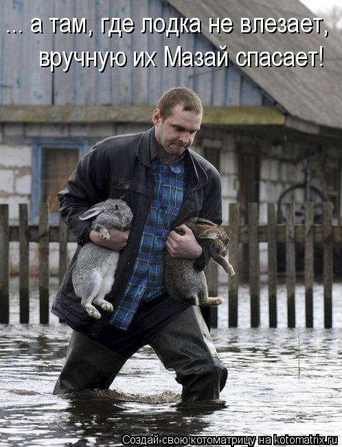 ... а там, где лодка не влезает, вручную их Мазай спасает!... Котоматрица: ... а там, где лодка не влезает, вручную их Мазай спасает!