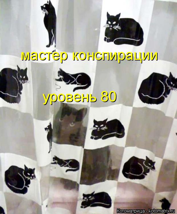 Котоматрица: мастер конспирации уровень 80