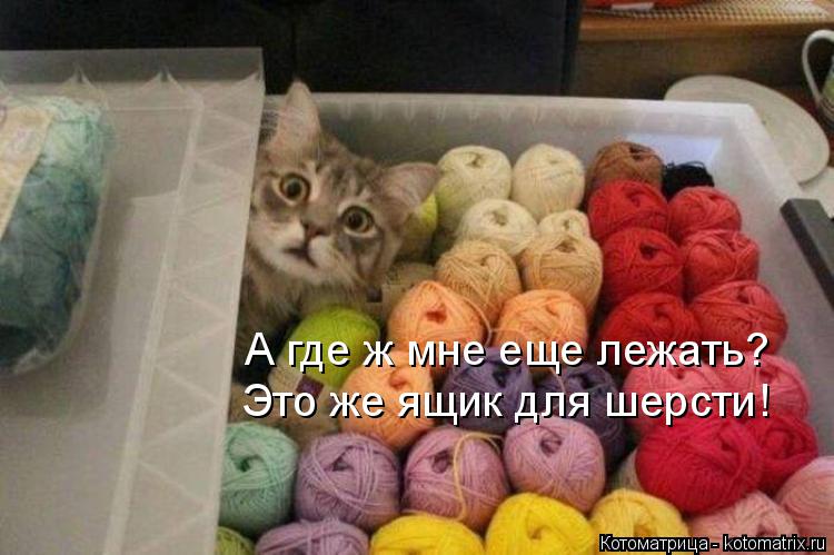 Котоматрица: А где ж мне еще лежать? Это же ящик для шерсти!