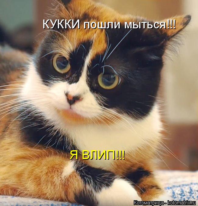 Котоматрица: КУККИ пошли мыться!!! Я ВЛИП!!!