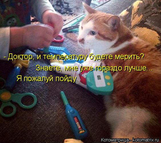 Котоматрица: - Доктор, и температуру будете мерить? Знаете, мне уже гораздо лучше... Я пожалуй пойду