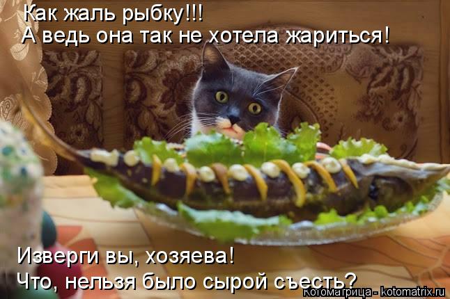 Котоматрица: Как жаль рыбку!!! А ведь она так не хотела жариться! Изверги вы, хозяева!  Что, нельзя было сырой съесть?