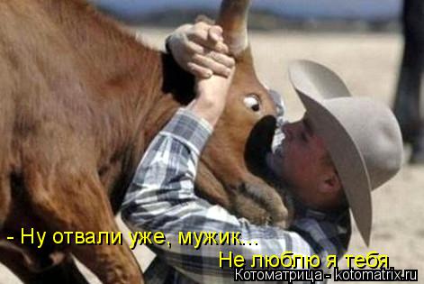 Котоматрица: - Ну отвали уже, мужик... Не люблю я тебя