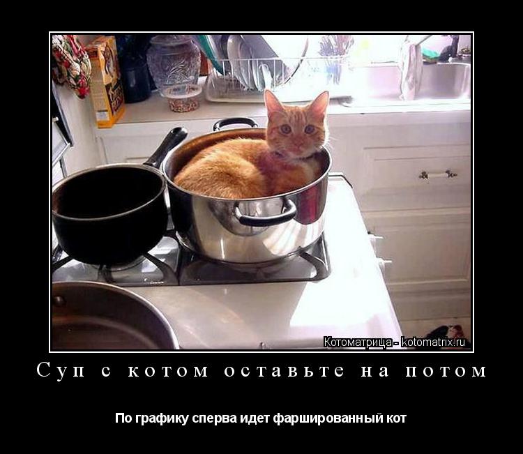 Котоматрица: Суп с котом оставьте на потом По графику сперва идет фаршированный кот
