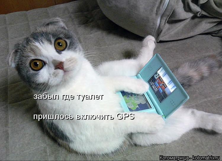 Котоматрица: забыл где туалет пришлось включить GPS