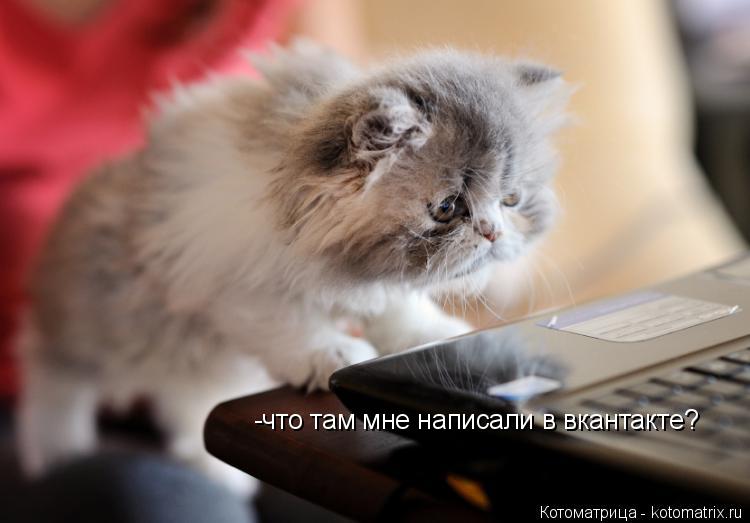 Котоматрица: -что там мне написали в вкантакте?