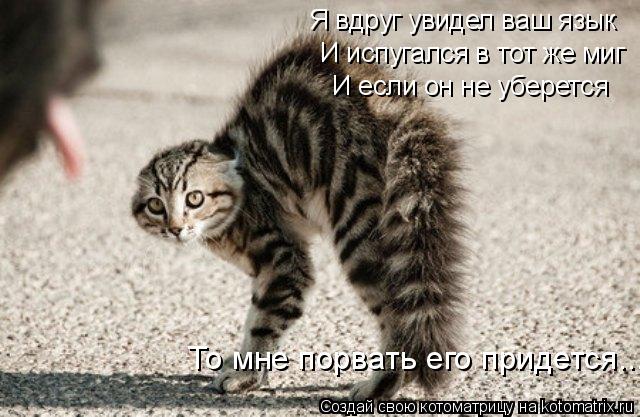 Котоматрица: И испугался в тот же миг И если он не уберется То мне порвать его придется... Я вдруг увидел ваш язык