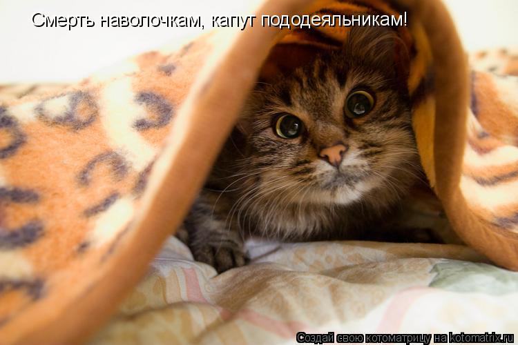 Котоматрица: Смерть наволочкам, капут пододеяльникам!