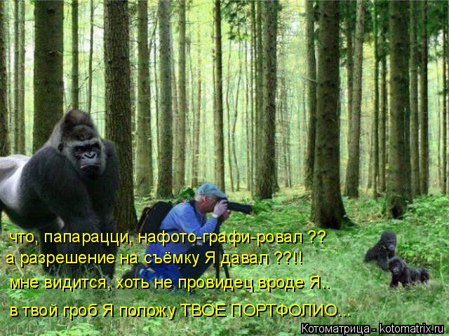 Котоматрица: а разрешение на съёмку Я давал ??!! мне видится, хоть не провидец вроде Я.. в твой гроб Я положу ТВОЕ ПОРТФОЛИО... что, папарацци, нафото-графи-ро