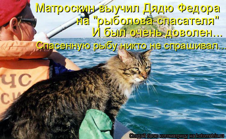 Котоматрица: Матроскин выучил Дядю Федора  на "рыболова-спасателя" И был очень доволен... Спасенную рыбу никто не спрашивал...