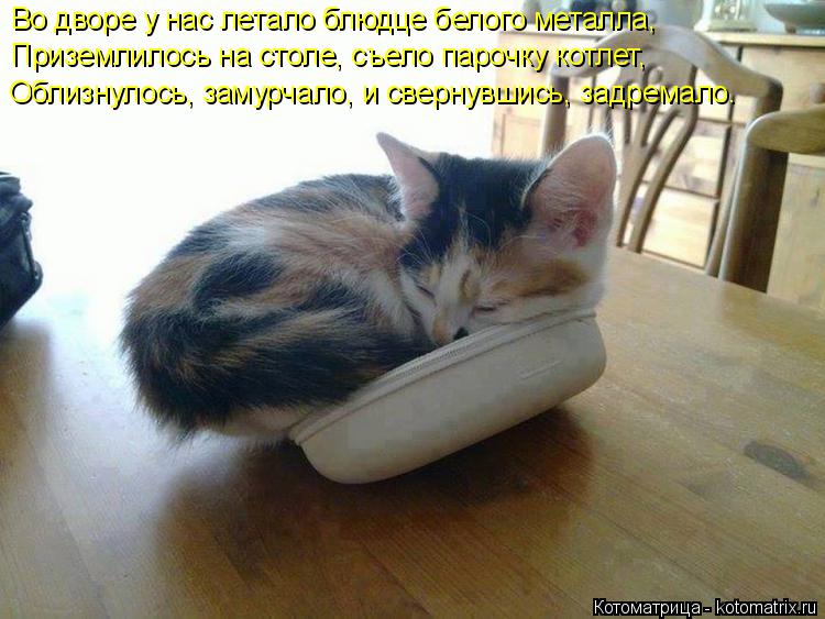Котоматрица: Во дворе у нас летало блюдце белого металла, Приземлилось на столе, съело парочку котлет, Облизнулось, замурчало, и свернувшись, задремало.