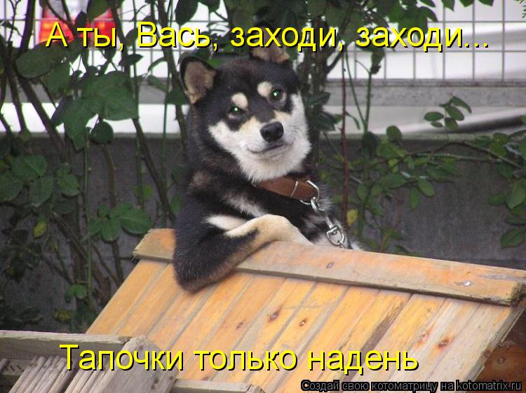 Котоматрица: Тапочки только надень А ты, Вась, заходи, заходи...