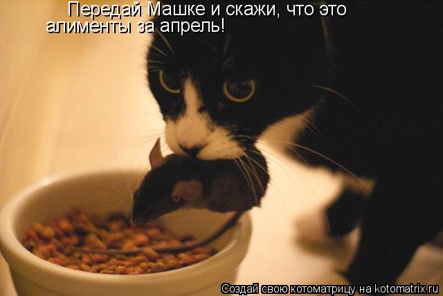 Котоматрица: Передай Машке и скажи, что это алименты за апрель!