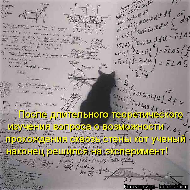 Котоматрица: После длительного теоретического изучения вопроса о возможности  прохождения сквозь стены кот ученый наконец решился на эксперимент!