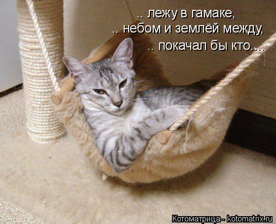 Котоматрица: .. лежу в гамаке, .. небом и землёй между, .. покачал бы кто....