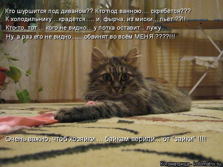Котоматрица: Кто шуршится под диваном?? Кто под ванною.... скребётся??? К холодильнику ...крадётся..... и, фырча, из миски... пьёт ??!! Кто-то, тот ... кого не видно... 