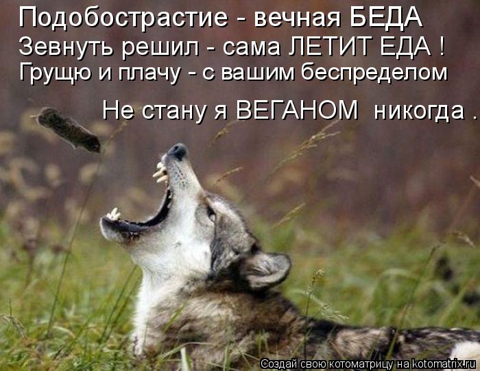 Котоматрица: Зевнуть решил - сама ЛЕТИТ ЕДА ! Подобострастие - вечная БЕДА Грущю и плачу - с вашим беспределом Не стану я ВЕГАНОМ  никогда .