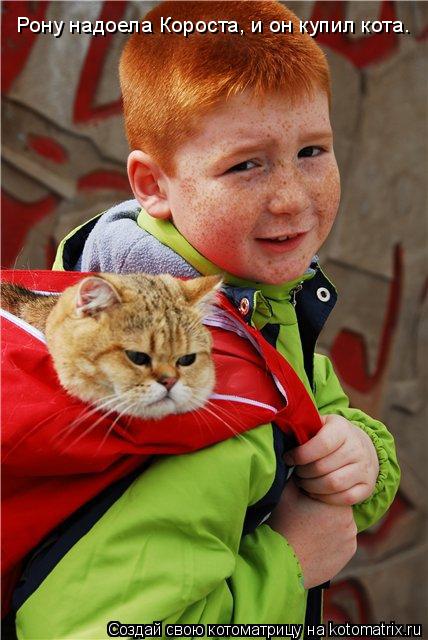 Котоматрица: Рону надоела Короста, и он купил кота.