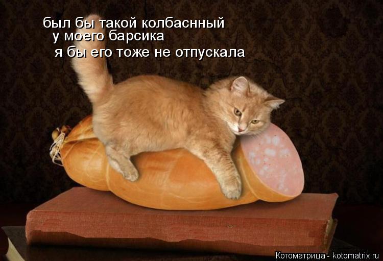 Котоматрица: был бы такой колбаснный  у моего барсика я бы его тоже не отпускала