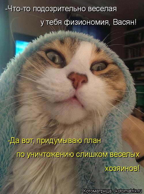 -Что-то подозрительно веселая у тебя физиономия, Васян! -Да вот, придумываю план по уничтожению слишк... Котоматрица: -Что-то подозрительно веселая у тебя физиономия, Васян! -Да вот, придумываю план по уничтожению слишком веселых хозяинов!