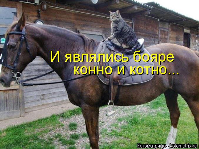 Котоматрица: И являлись бояре  конно и котно...