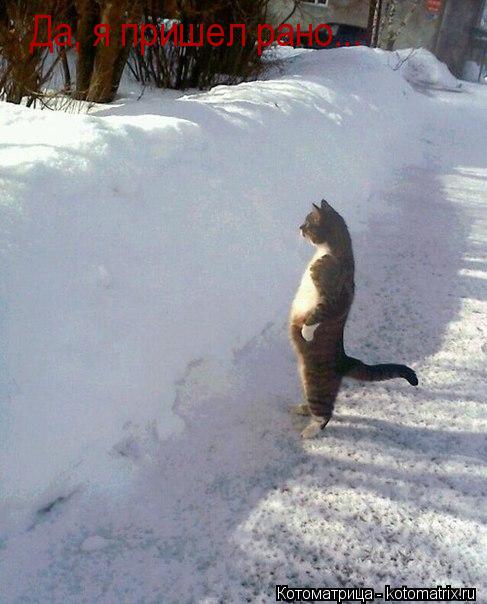 Котоматрица: Да, я пришел рано...