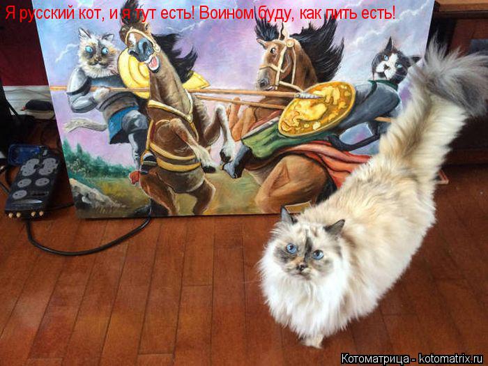 Котоматрица: Я русский кот, и я тут есть! Воином буду, как пить есть!