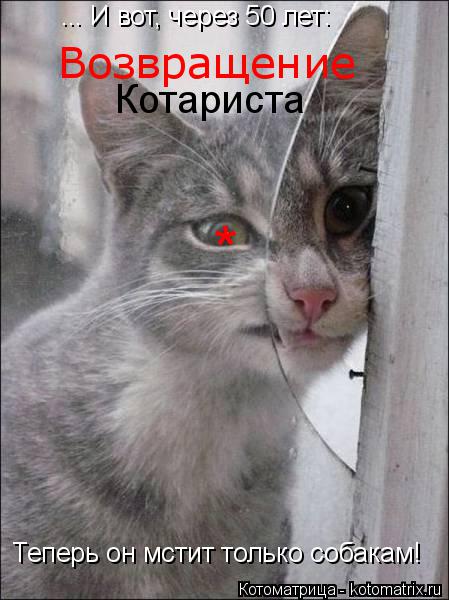Котоматрица: ... И вот, через 50 лет: Возвращение Котариста Теперь он мстит только собакам! *