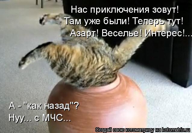 Нас приключения зовут! Там уже были! Теперь тут! Азарт! Веселье! Интерес!... А - "как назад"? Нуу...... Котоматрица: Нас приключения зовут! Там уже были! Теперь тут! Азарт! Веселье! Интерес!... А - "как назад"? Нуу... с МЧС...