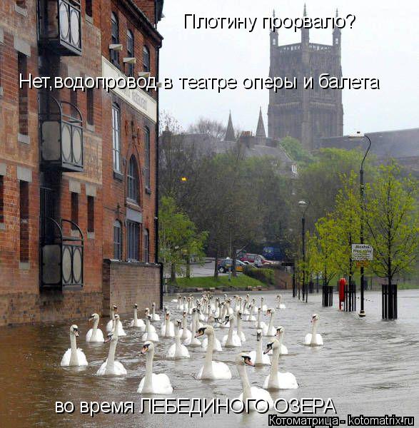 Плотину прорвало? Нет,водопровод в театре оперы и балета во время ЛЕБЕДИНОГО ОЗЕРА... Котоматрица: Плотину прорвало? Нет,водопровод в театре оперы и балета во время ЛЕБЕДИНОГО ОЗЕРА