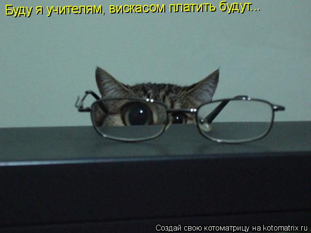 Котоматрица: Буду я учителям, вискасом платить будут... Буду я учителям, вискасом платить будут... Буду я учителям, вискасом платить будут...